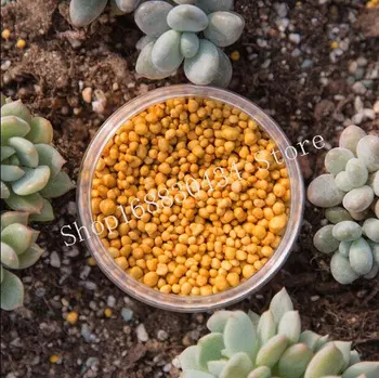 Внесени Топчета тор забавено освобождаване 250 грама, подходящи за домашно градинско цвете зеленчукови растения
