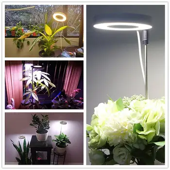 Ефективно осветление растения Пълен набор от led лампи за отглеждане на цветя, Бонсай Широка гама осветление се захранва от USB Попълване на пръстени Ангел